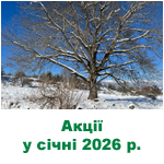 Акції, бонуси, спеціальні пропозиції