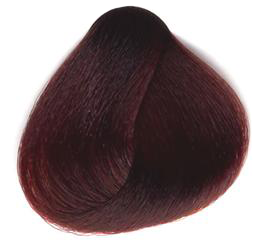 Краска SanoTint C28 Красный каштан