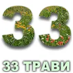 Ефірна олія 33 трави Vivasan Ефірна олія 33 трави Vivasan