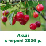 Акції, бонуси, спеціальні пропозиції