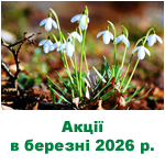 Акції, бонуси, спеціальні пропозиції