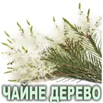 Ефірна олія чайного дерева Vivasan Ефірна олія чайного дерева Vivasan