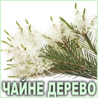 Ефірна олія чайного дерева Vivasan Ефірна олія чайного дерева Vivasan