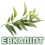 Ефірна олія евкаліпта Vivasan Ефірна олія евкаліпта Vivasan