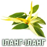 Ефірна олія іланг-ілангу коморського Vivasan Ефірна олія іланг-ілангу коморського Vivasan