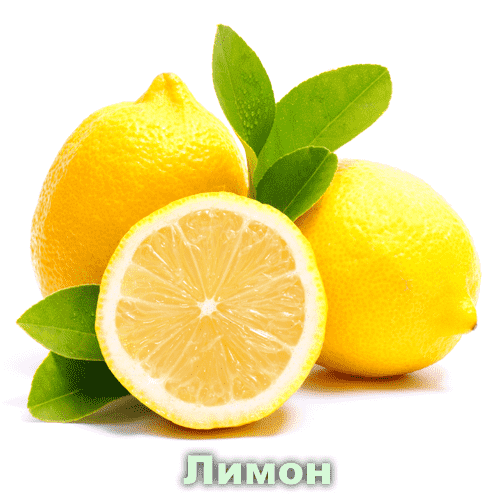 Лимон / Citrus Limon L.