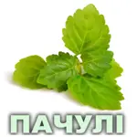 Ефірна олія пачулі сінгапурського Vivasan Ефірна олія пачулі сінгапурського Vivasan