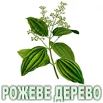 Ефірна олія рожевого дерева Vivasan Ефірна олія рожевого дерева Vivasan