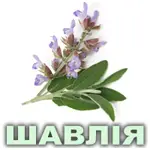 Ефірна олія шавлії мускатної французької Vivasan Ефірна олія шавлії мускатної французької Vivasan