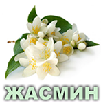 Ефірна олія жасмину єгипетського Vivasan Ефірна олія жасмину єгипетського Vivasan