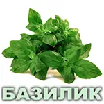 Эфирное масло базилика сладкого французского Vivasan Эфирное масло базилика сладкого французского Vivasan