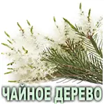 Эфирное масло чайного дерева Vivasan Эфирное масло чайного дерева Vivasan