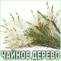 Эфирное масло чайного дерева Vivasan Эфирное масло чайного дерева Vivasan