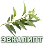 Эфирное масло эвкалипта Vivasan Эфирное масло эвкалипта Vivasan