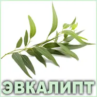 Эфирное масло эвкалипта Vivasan Эфирное масло эвкалипта Vivasan