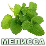 Эфирное масло мелиссы лимонной Vivasan Эфирное масло мелиссы лимонной Vivasan