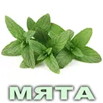 Эфирное масло мяты перечной Vivasan Эфирное масло мяты перечной Vivasan