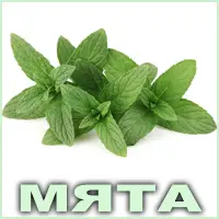 Эфирное масло мяты перечной Vivasan Эфирное масло мяты перечной Vivasan