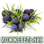 Эфирное масло можжевельника европейского Vivasan Эфирное масло можжевельника европейского Vivasan