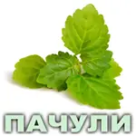 Эфирное масло пачули сингапурского Vivasan Эфирное масло пачули сингапурского Vivasan