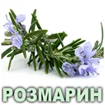 Эфирное масло розмарина испанского Vivasan Эфирное масло розмарина испанского Vivasan