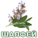 Эфирное масло шалфея мускатного французского Vivasan Эфирное масло шалфея мускатного французского Vivasan