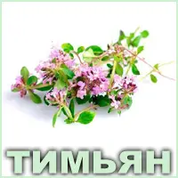 Эфирное масло тимьяна белого французского Vivasan Эфирное масло тимьяна белого французского Vivasan