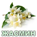 Эфирное масло жасмина египетского Vivasan Эфирное масло жасмина египетского Vivasan