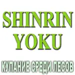 Композиция 100% эфирных масел Купание среди лесов (Shinrin Yoku) Vivasan Композиция 100% эфирных масел Купание среди лесов (Shinrin Yoku)